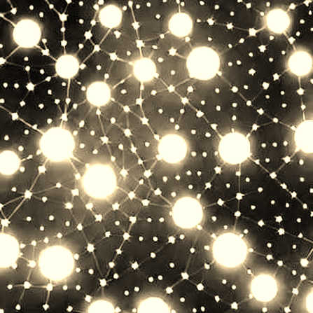 The Silence in the Data: When an Empty Input Speaks Volumes