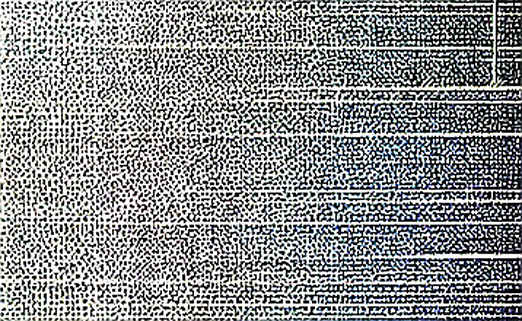The Yield Didn't Save the Grid: A Forensic Audit of CoVolt Power's Tokenization Shell Game