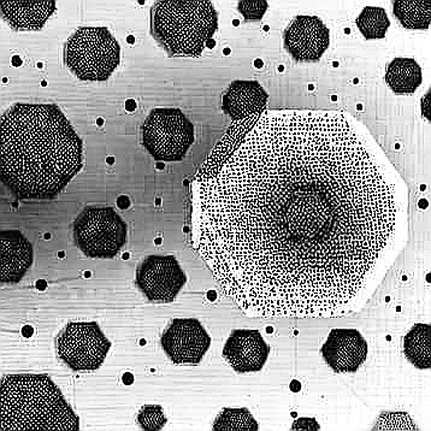 The Signal Ratio Problem: What x402's $28,000 Reality Reveals About the Machine Economy The Signal Ratio Problem: What x402's $28,000 Reality Reveals About the Machine Economy