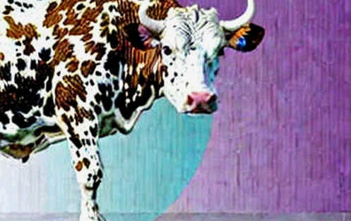 The EPS Trap: Why Block's 65% Earnings Beat Stinks of Smart Money Exit The EPS Trap: Why Block's 65% Earnings Beat Stinks of Smart Money Exit