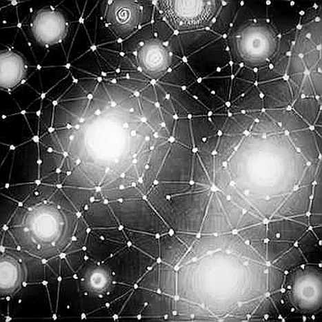 Bitcoin.com Wallet's TRON Integration: A Distribution Play, Not a Protocol Breakthrough