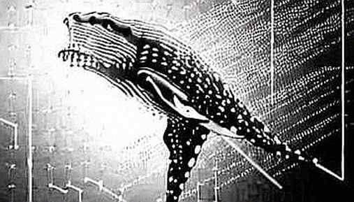 The Hormuz Pause: Reading the Liquidity Signal Behind Trump's Delayed Strike The Hormuz Pause: Reading the Liquidity Signal Behind Trump's Delayed Strike
