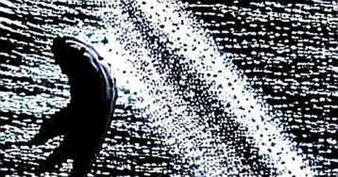 The $100B Illusion: Why ETF Inflows Are a Trap for Crypto Believers The $100B Illusion: Why ETF Inflows Are a Trap for Crypto Believers