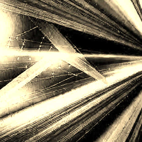 The Sanctions Paradox: How Operation Economic Outcast Accelerates the Crypto Escape Hatch The Sanctions Paradox: How Operation Economic Outcast Accelerates the Crypto Escape Hatch