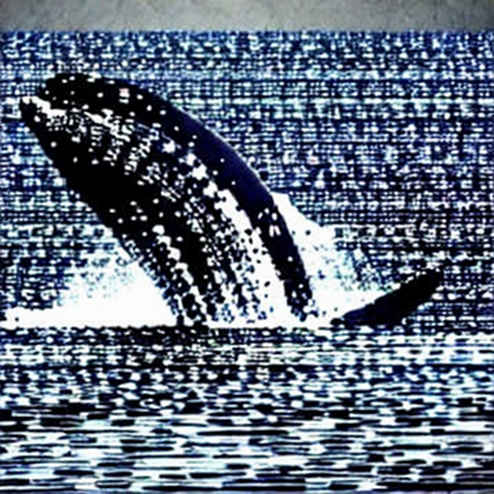 The Anatomy of a Smart Contract 'Minor Knock': Uniswap V4 Hooks and the Hidden Risks The Anatomy of a Smart Contract 'Minor Knock': Uniswap V4 Hooks and the Hidden Risks